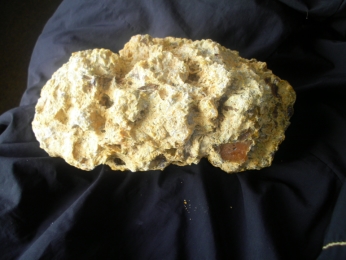 kauri gum 2.2kg
